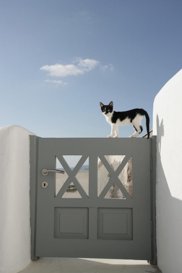 White Suite Oia  Exterior foto